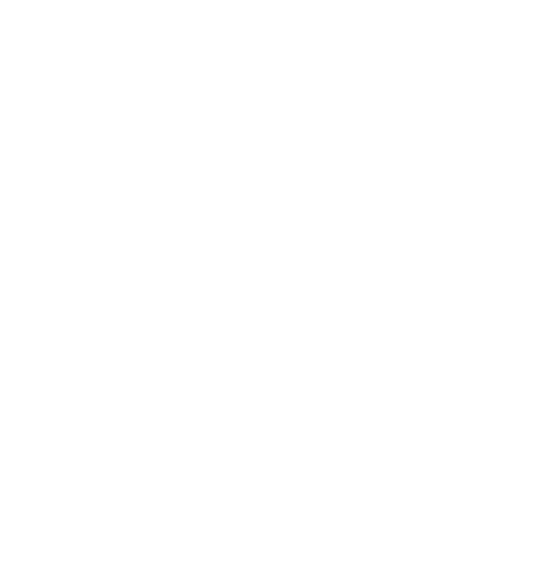 TINO fresh food customs